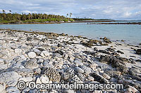 Tropical beach Cocos Islands Photo - Gary Bell