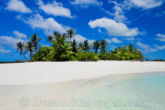 Tropical island setting, comprising coconut palm fringed island surrounded by crystal lagoon water. Cocos (Keeling) Islands, Indian Ocean, Australia Photo - Gary Bell Tropical island setting, comprising coconut palm fringed island surrounded by crystal lagoon water. Cocos (Keeling) Islands, Indian Ocean, Australia Photo - Gary Bell