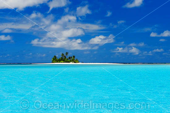 Tropical island coconut palms photo