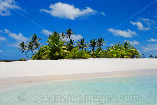 Tropical island setting, comprising coconut palm fringed island surrounded by crystal lagoon water. Cocos (Keeling) Islands, Indian Ocean, Australia Photo - Gary Bell Tropical island setting, comprising coconut palm fringed island surrounded by crystal lagoon water. Cocos (Keeling) Islands, Indian Ocean, Australia Photo - Gary Bell