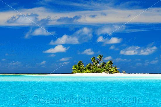 Tropical island coconut palms photo