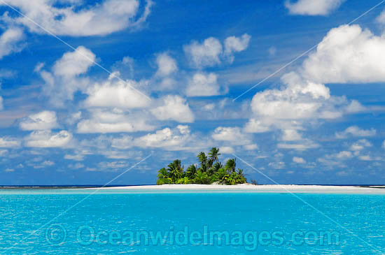 Tropical island setting, comprising coconut palm fringed island surrounded by crystal lagoon water. Cocos (Keeling) Islands, Indian Ocean, Australia Photo - Gary Bell Tropical island setting, comprising coconut palm fringed island surrounded by crystal lagoon water. Cocos (Keeling) Islands, Indian Ocean, Australia Photo - Gary Bell