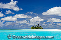 Tropical island coconut palms Photo - Gary Bell