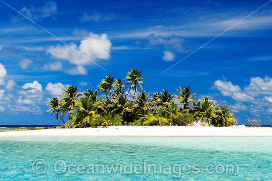Tropical island setting, comprising coconut palm fringed island surrounded by crystal lagoon water. Cocos (Keeling) Islands, Indian Ocean, Australia Photo - Gary Bell Tropical island setting, comprising coconut palm fringed island surrounded by crystal lagoon water. Cocos (Keeling) Islands, Indian Ocean, Australia Photo - Gary Bell