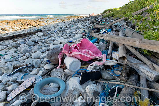 Marine Trash photo