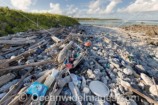 Plastic bottles pollution photo