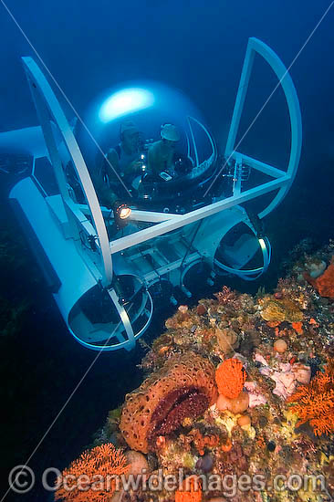 Submarine coral reef photo