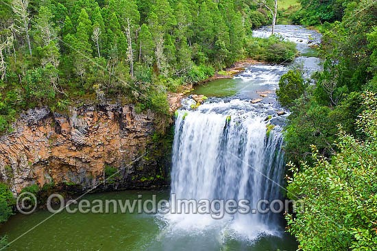 Dangar Falls, situated on the Dorrigo Plateau. Dorrigo, New South Wales, Australia Photo - Gary Bell