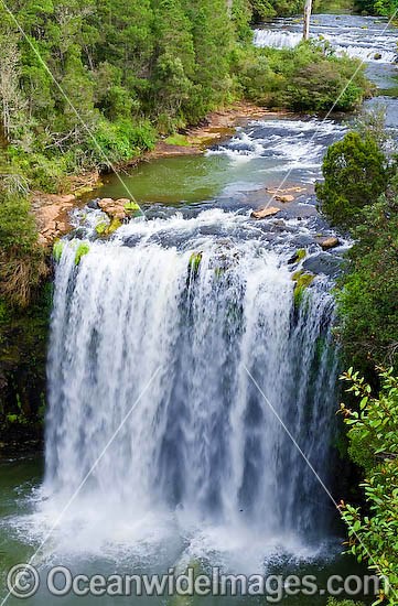 Dangar Falls, situated on the Dorrigo Plateau. Dorrigo, New South Wales, Australia Photo - Gary Bell