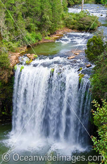 Dangar Falls Dorrigo photo Dangar Falls Dorrigo photo