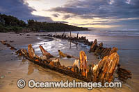 Shipwreck Buster Woolgoolga Photo - Gary Bell