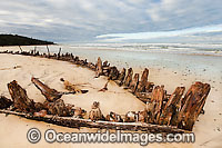 Woolgoolga Shipwreck Photo - Gary Bell