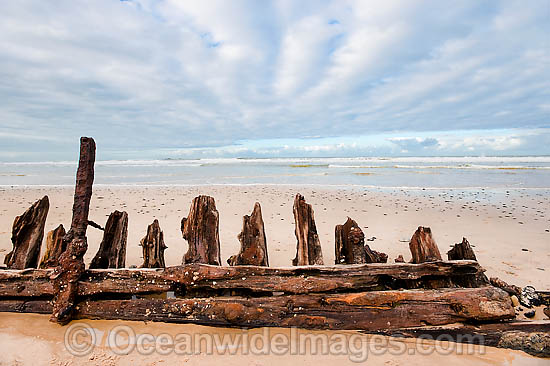 Historic Shipwreck 'Buster' on Woolgoolga beach, New South Wales. Vessel was blown ashore & beached during a violent storm in Feb 1893. Class: Barquentine. Construction: Timber single deck & 3 masts. Built: Nova Scotia, Canada 1884. Length - 129 ft Photo - Gary Bell Historic Shipwreck 'Buster' on Woolgoolga beach, New South Wales. Vessel was blown ashore & beached during a violent storm in Feb 1893. Class: Barquentine. Construction: Timber single deck & 3 masts. Built: Nova Scotia, Canada 1884. Length - 129 ft Photo - Gary Bell
