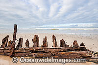 Buster Shipwreck Photo - Gary Bell