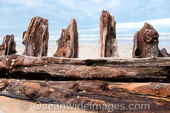 Shipwreck Woolgoolga photo