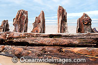 Shipwreck Woolgoolga Photo - Gary Bell