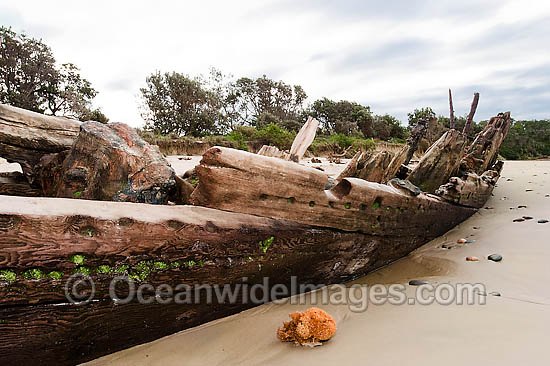 Woolgoolga Shipwreck photo