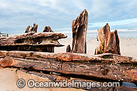 Buster Shipwreck Photo - Gary Bell