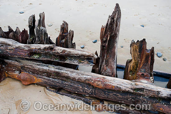 Historic Shipwreck 'Buster' on Woolgoolga beach, New South Wales. Vessel was blown ashore & beached during a violent storm in Feb 1893. Class: Barquentine. Construction: Timber single deck & 3 masts. Built: Nova Scotia, Canada 1884. Length - 129 ft Photo - Gary Bell Historic Shipwreck 'Buster' on Woolgoolga beach, New South Wales. Vessel was blown ashore & beached during a violent storm in Feb 1893. Class: Barquentine. Construction: Timber single deck & 3 masts. Built: Nova Scotia, Canada 1884. Length - 129 ft Photo - Gary Bell
