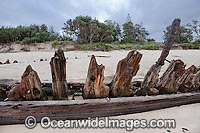 Buster Shipwreck Photo - Gary Bell