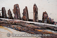 Shipwreck Woolgoolga Photo - Gary Bell