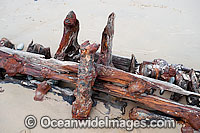 Buster Shipwreck Photo - Gary Bell