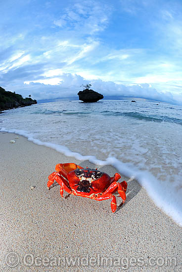 Christmas Island Beach