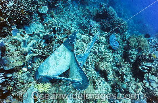 Anchor damage on reef photo