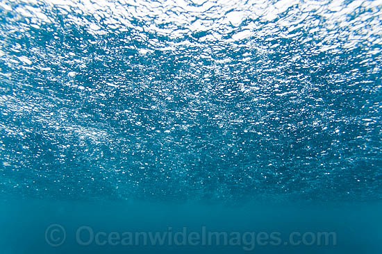 Raining on ocean surface photo