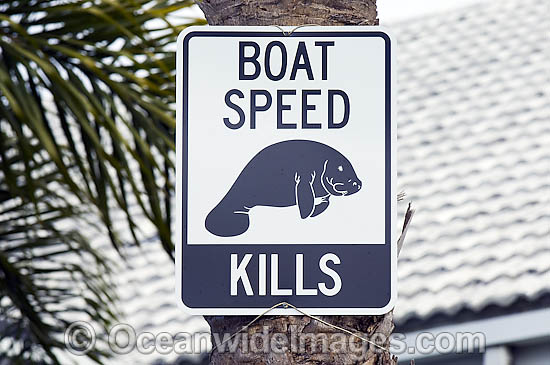 Sign reminding boaters in Crystal River, Florida, USA, of the presence of manatees and the need to obey local boating laws. Photo - Michael Patrick O'Neill Sign reminding boaters in Crystal River, Florida, USA, of the presence of manatees and the need to obey local boating laws. Photo - Michael Patrick O'Neill