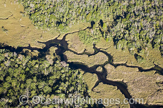 Aerial photograph of Crystal River in northwestern Florida. This section of the state is one of the last remaining wildernesses in the region and is the winter home of the endangered Florida manatee (Trichechus manatus latirostrus). Photo - Michael Patrick O'Neill Aerial photograph of Crystal River in northwestern Florida. This section of the state is one of the last remaining wildernesses in the region and is the winter home of the endangered Florida manatee (Trichechus manatus latirostrus). Photo - Michael Patrick O'Neill