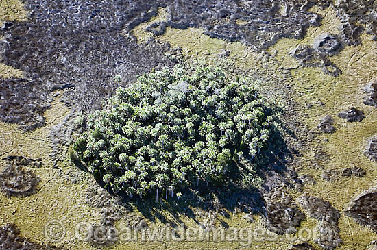 Aerial of Crystal River photo