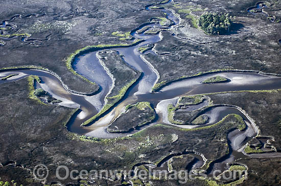 Aerial photograph of Crystal River in northwestern Florida. This section of the state is one of the last remaining wildernesses in the region and is the winter home of the endangered Florida manatee (Trichechus manatus latirostrus). Photo - Michael Patrick O'Neill Aerial photograph of Crystal River in northwestern Florida. This section of the state is one of the last remaining wildernesses in the region and is the winter home of the endangered Florida manatee (Trichechus manatus latirostrus). Photo - Michael Patrick O'Neill