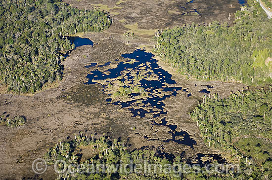 Aerial of Crystal River Florida photo