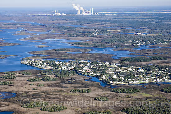 Aerial photograph of Crystal River in northwestern Florida. This section of the state is one of the last remaining wildernesses in the region and is the winter home of the endangered Florida manatee (Trichechus manatus latirostrus). Photo - Michael Patrick O'Neill Aerial photograph of Crystal River in northwestern Florida. This section of the state is one of the last remaining wildernesses in the region and is the winter home of the endangered Florida manatee (Trichechus manatus latirostrus). Photo - Michael Patrick O'Neill
