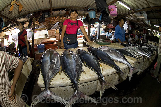 Markets In Bali. of Bali's fish markets.