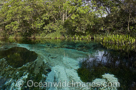 Crystal clear river Brazil photo