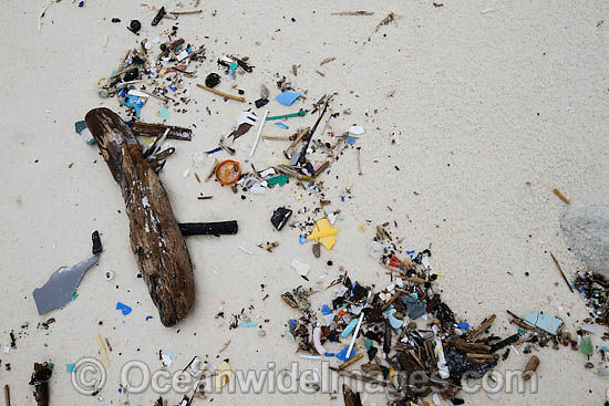 Marine pollution rubbish trash garbage comprising of small plastic pieces, washed ashore by tidal movement on a remote tropical island beach. Cocos (Keeling) Islands, Indian Ocean, Australia Photo - Inger Vandyke