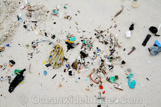 Plastic garbage on beach photo