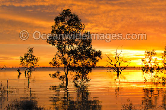 Lake Menindee at sunrise photo Lake Menindee at sunrise photo