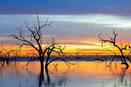 Lake Menindee sunrise photo Lake Menindee sunrise photo
