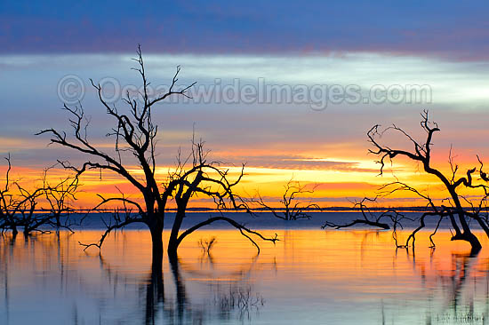 Lake Menindee sunrise photo