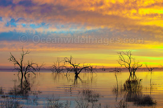 Lake Menindee at sunrise photo Lake Menindee at sunrise photo