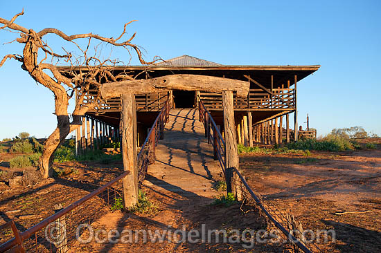 Woolshed Kinchega National Park photo