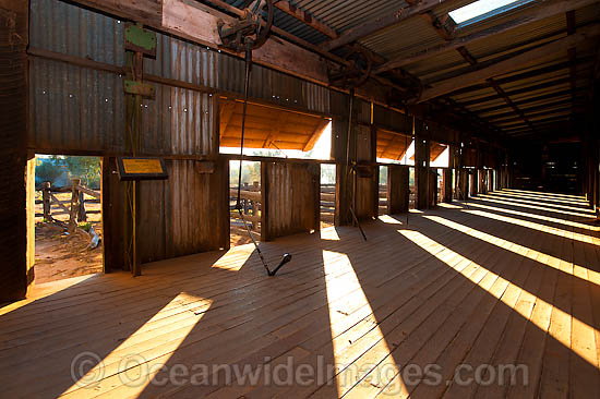 Woolshed Kinchega National Park photo