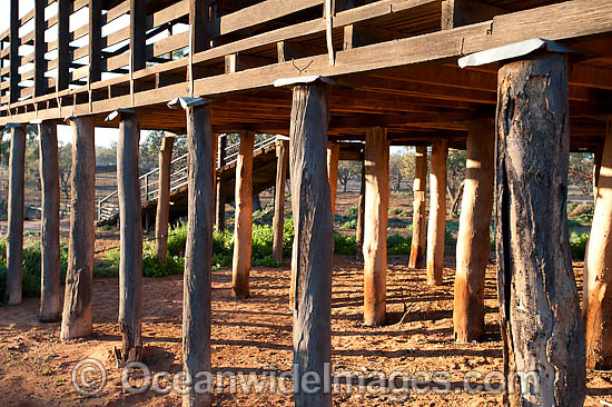 Woolshed Kinchega National Park photo