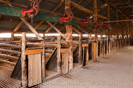 Mungo Woolshed photo Mungo Woolshed photo