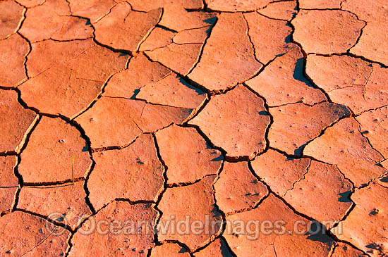 Detail of a dried clay pan, cracked mud, in outback Australia. This picture was taken during a drought period in the year 2007. Photo - Gary Bell Detail of a dried clay pan, cracked mud, in outback Australia. This picture was taken during a drought period in the year 2007. Photo - Gary Bell