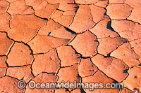 Dry Clay Pan drought Photo - Gary Bell