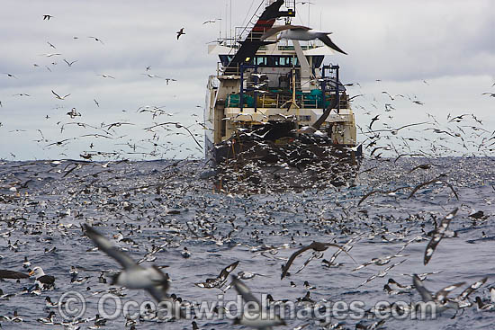 Trawler Fishing photo